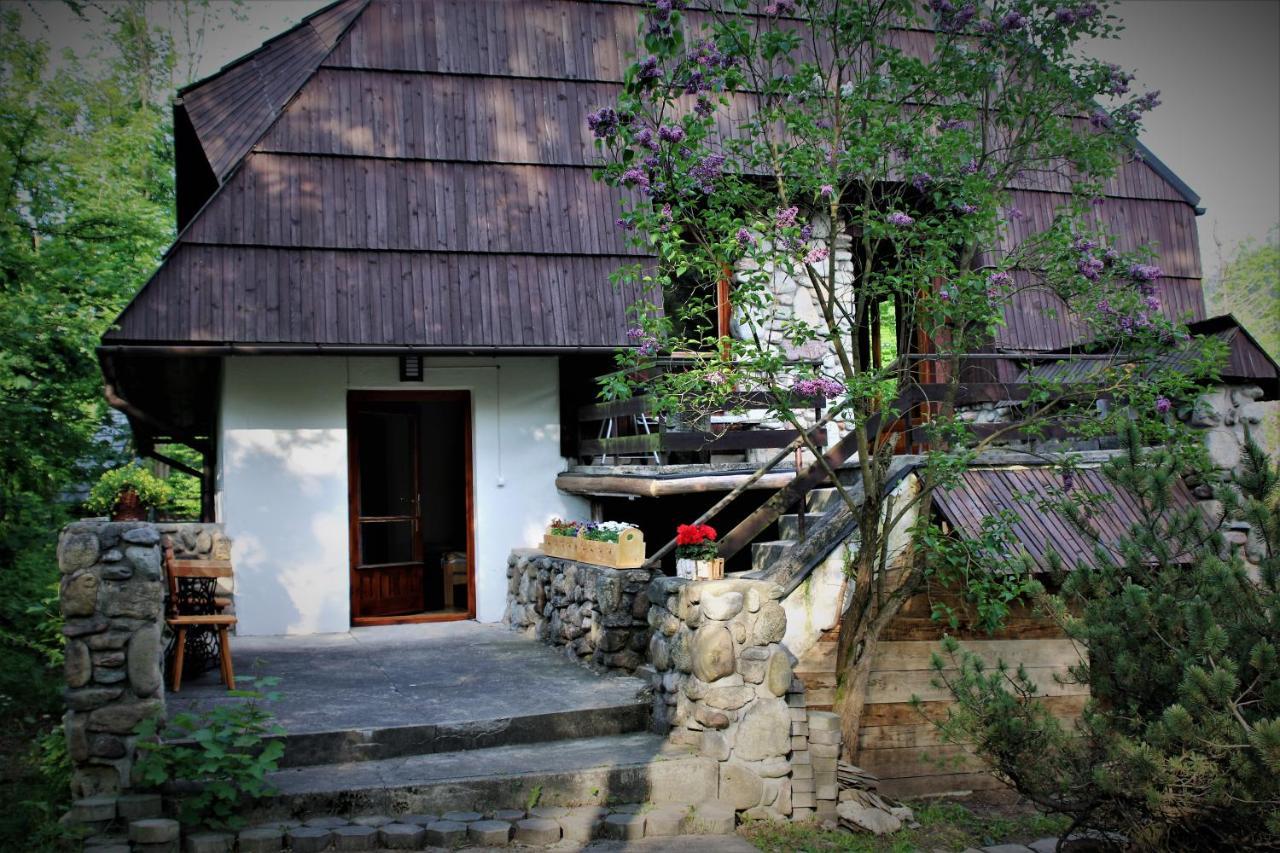 Willa Gawra Zakopane Exterior photo